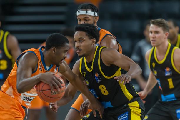 在森林狼与 在森林狼与